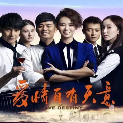 为了遇见你(电视剧《爱情自有天意》片头曲)封面