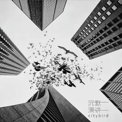 另一个我第一章封面