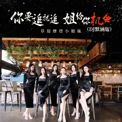 你要追就追姐给你机会(DJ默涵版)封面