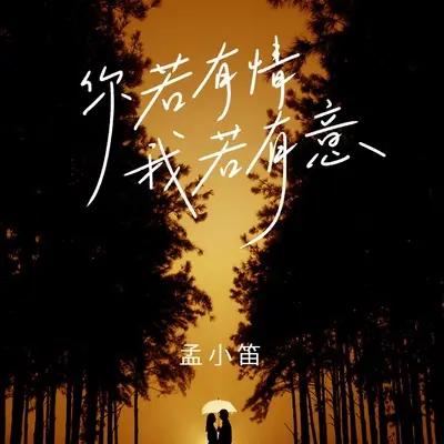 你若有情我若有意封面