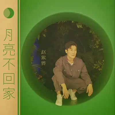 月亮不回家封面