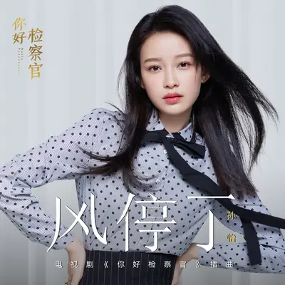 风停了 (电视剧《你好检察官》插曲)封面