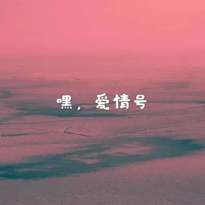 嘿,爱情号封面
