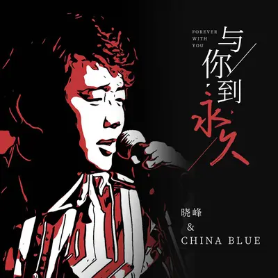 与你到永久(DJ沈念版)(DJ沈念版)封面