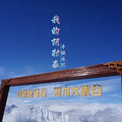 妥协封面