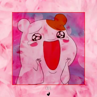 Cute封面