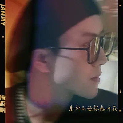 是什么让你离开我封面