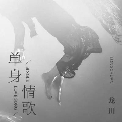 单身情歌封面