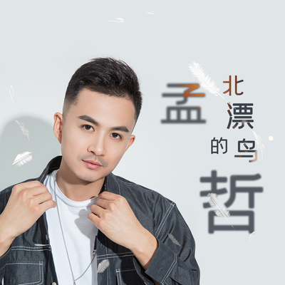 北漂的鸟封面