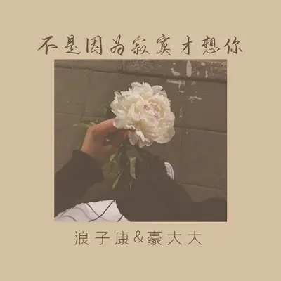 不是因为寂寞才想你(DJ版)(DJ版)封面