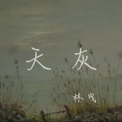天灰封面