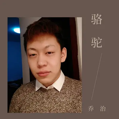 骆驼封面