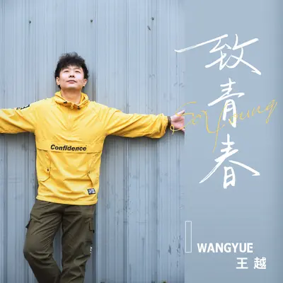 致青春封面