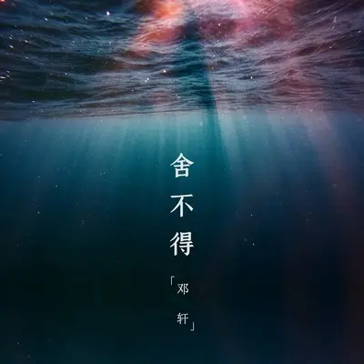 舍不得(Live)(Live)封面