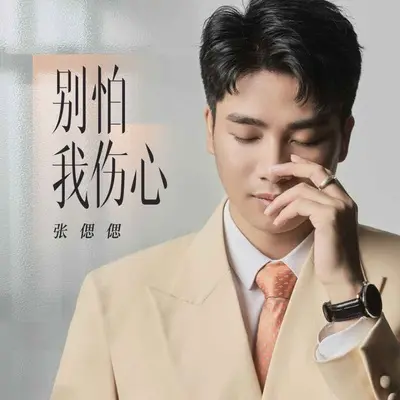 别怕我伤心(DJ九零版)(DJ九零版)封面