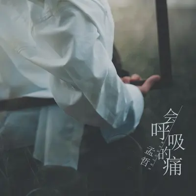 会呼吸的痛封面