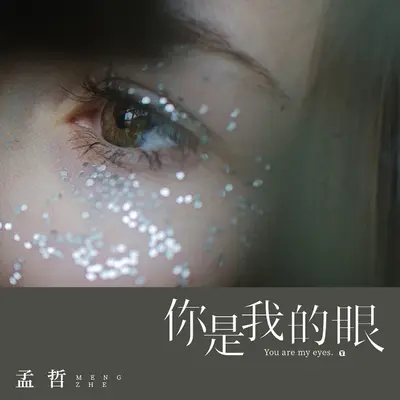 你是我的眼封面