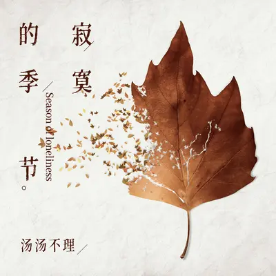 寂寞的季节 - 汤汤不理封面