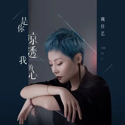 是你凉透我的心封面