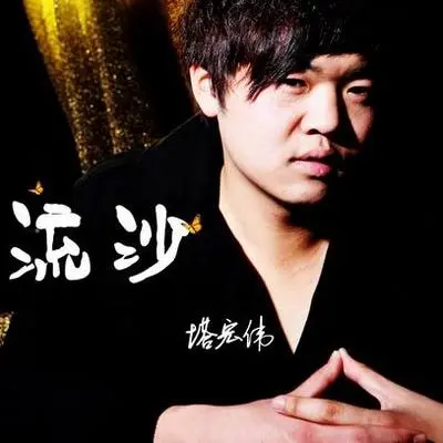 为谁抚琴封面