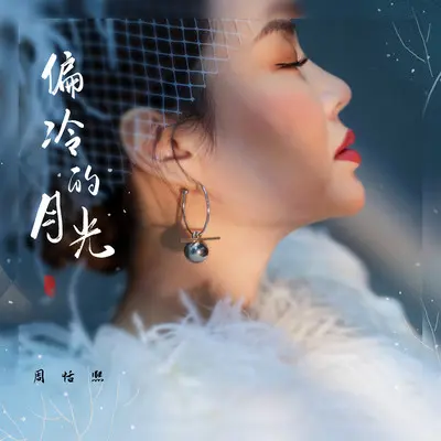 偏冷的月光封面