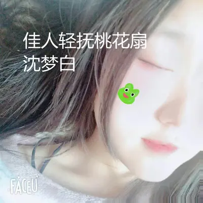 佳人轻抚桃花扇封面