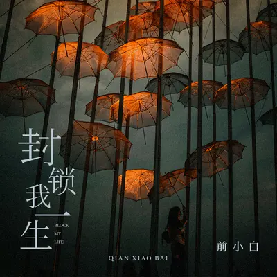 封锁我一生封面