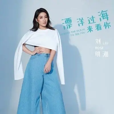 漂洋过海来看你 (快四版)封面