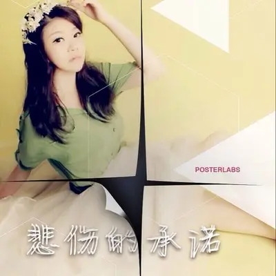 悲伤的承诺封面