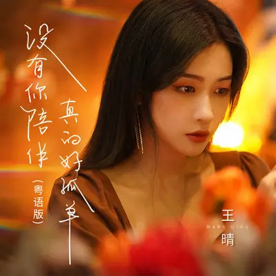 没有你陪伴真的好孤单(粤语DJ版)(粤语DJ版)封面