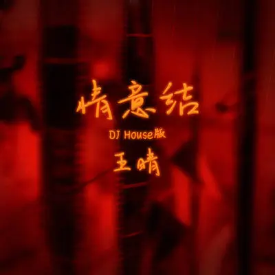 情意结(DJ House版)(DJ House版)封面