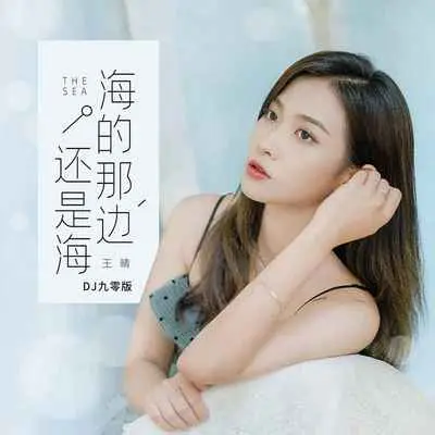 海的那边还是海(DJ九零版)(DJ九零版)封面