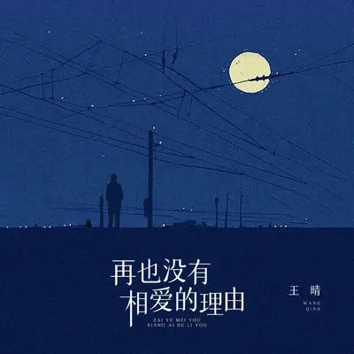 再也没有相爱的理由 - 王晴封面