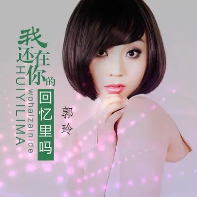 我还在你的回忆里吗（DJ何鹏版伴奏）封面