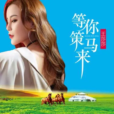 等你策马来（DJ何鹏版伴奏）封面