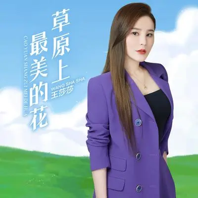 草原上最美的花（DJ何鹏版伴奏）封面