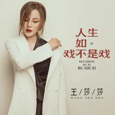 人生如戏不是戏（DJ何鹏版伴奏）封面