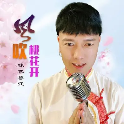 风吹桃花开（DJ何鹏版伴奏）封面