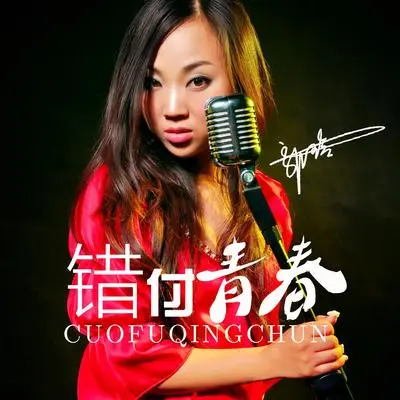 错付青春（DJ何鹏版伴奏）封面