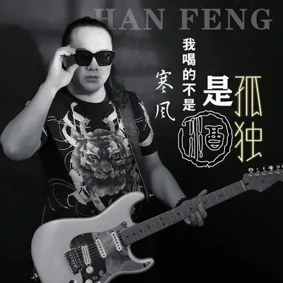 我喝的不是酒是孤独（DJ何鹏版）封面