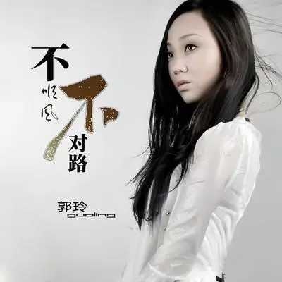 不顺风不对路（伴奏） - 郭玲封面