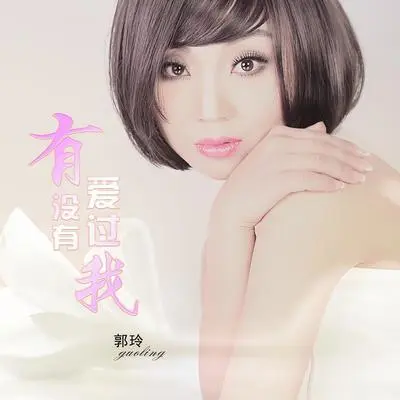 有没有爱过我（DJ何鹏版伴奏）封面