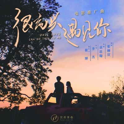 很高兴遇见你(电影《很高兴遇见你》广告宣传曲)封面