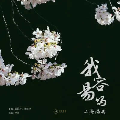 我容易吗封面