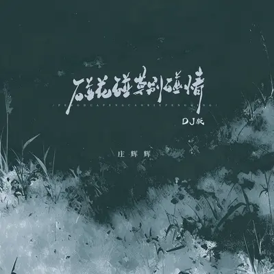 碰花碰草别碰情(DJ版)封面
