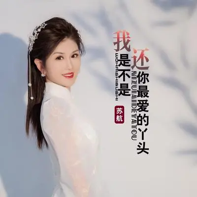 我还是不是你最爱的丫头（DJ何鹏版伴奏）封面
