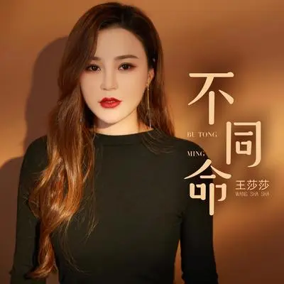 不同命（DJ何鹏版伴奏）封面