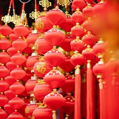 赏花灯（纯音乐） - 单桐封面