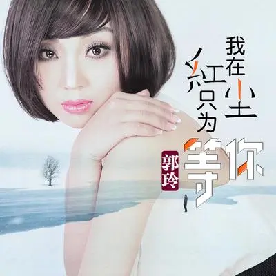 我在红尘只为等你（DJ何鹏版伴奏）封面