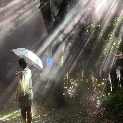 春雪(zy版)封面